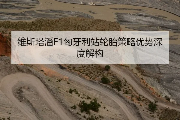 维斯塔潘F1匈牙利站轮胎策略优势深度解构