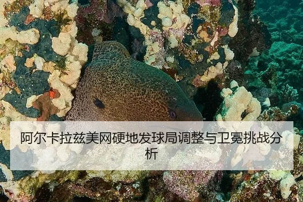阿尔卡拉兹美网硬地发球局调整与卫冕挑战分析