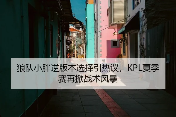狼队小胖逆版本选择引热议，KPL夏季赛再掀战术风暴